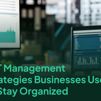 Analyzing financial data and reports for effective VAT management and tax organization